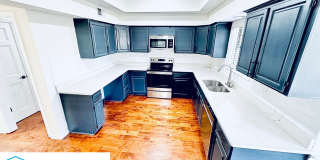 8712 Carrollwood Lane Gallery 3