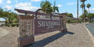 Silverbell Springs Gallery 56