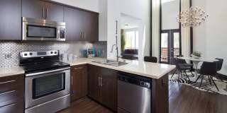 Fusion Encore Gallery 1