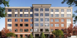 Cadence on Leo Gallery 17