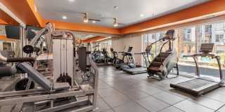 Broadstone Ambrose Gallery 7