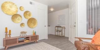 Metro Tucson Gallery 64