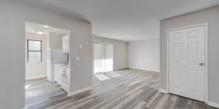 Aspen Flatz Gallery 4