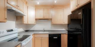 3007 SPICE Court Gallery 14