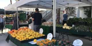 50750 Santa Rosa Plaza Gallery 11