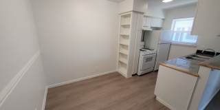 Penthouse Gallery 15
