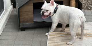 The Flats at Jasper Gallery 30