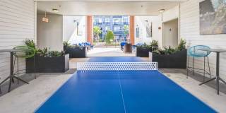 The Atlantic Memorial Gallery 10