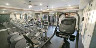 Avonlea Tributary Gallery 34