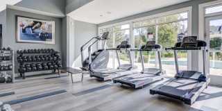 Pines at Castle Rock Gallery 10