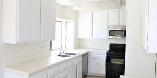 1436 Darwin Dr Gallery 5