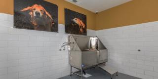 Sagecliff Apartments Gallery 23