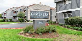 Prospera Square Gallery 29