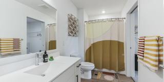 Esox House Gallery 109