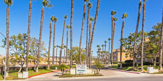 Sofi Canyon Hills Gallery 33