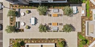 Alta Westwind Gallery 39