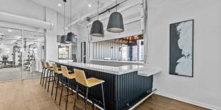 Legend at Beards Hill Gallery 14