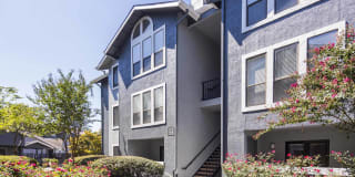 Aventura Dunwoody Gallery 16