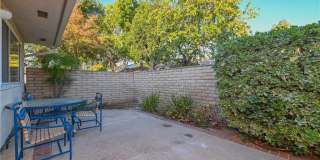 15 Camphor S Gallery 12