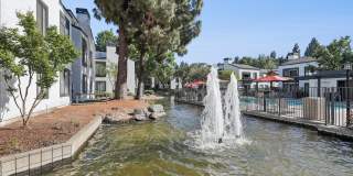 Park Lake at Walnut Creek Gallery 27