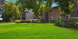 The Henley Apartment Homes Gallery 51