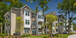 Element Carolina Bay Element Carolina Bay Gallery 51