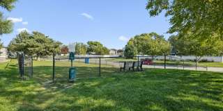 Lakeside Village Gallery 23