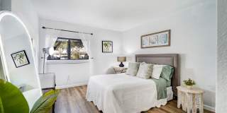 Emerald Palms Gallery 16