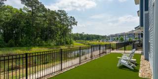 Hawthorne at Pine Forest Gallery 54