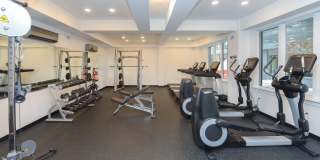 236 THOMPSON Street Gallery 35