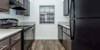 Rise Skyview Gallery 77