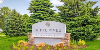 White Pines Gallery 1