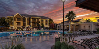 The Canter The Canter Gallery 13