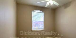 10691 Fire Poppy Circle Gallery 18