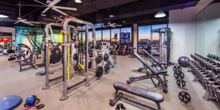 The George Gallery 9