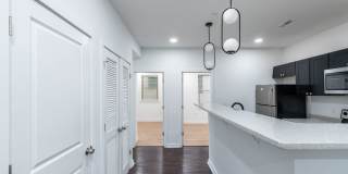 Temple Apartments Gallery 126