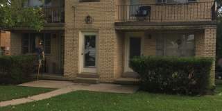 Nandale - Yellow Gallery 1