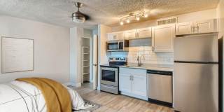 Rise Camelback Gallery 2