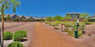 9702 Canyon Landing Avenue Gallery 52