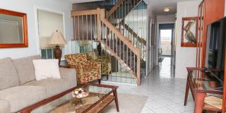 12 Gull Cv Gallery 38