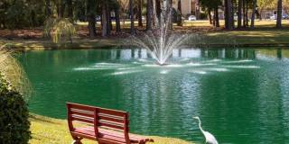 Claypond Commons Gallery 24