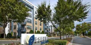 The Reserve Decatur Gallery 49