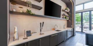 Aster Aster Gallery 17