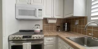 1202 Palm Trail Gallery 9