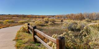 Arcadia Apartments Gallery 12