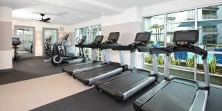 Altitude Apartments Gallery 26