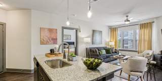 The Lotus at Starkey Ranch Gallery 7