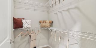 Springs at Mundelein Gallery 21