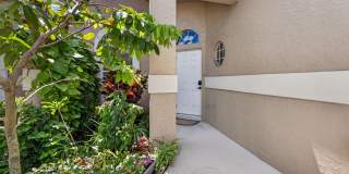 602 Sabal Palm Lane Gallery 3