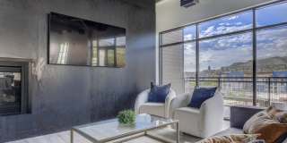 The DeWitt Gallery 25
